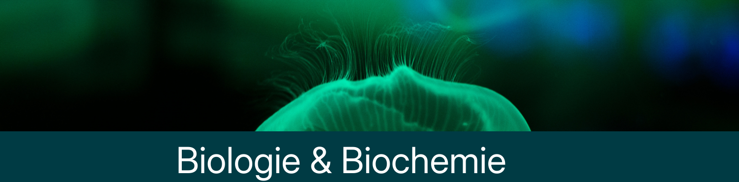 Bereit für ein erfolgreiches Semester - mit den Lehrbüchern von Wiley-VCH!